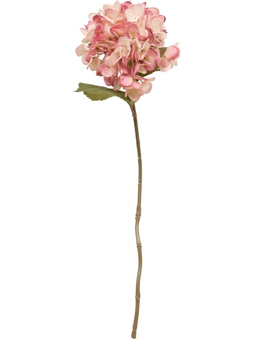 Fleur artificielle FRIA - Kiabi