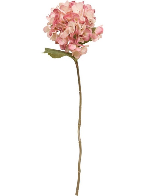 Fleur artificielle FRIA - Kiabi
