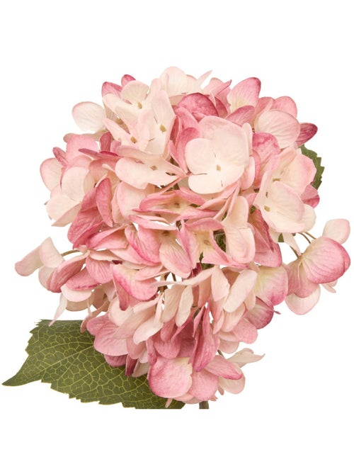 Fleur artificielle FRIA - Kiabi