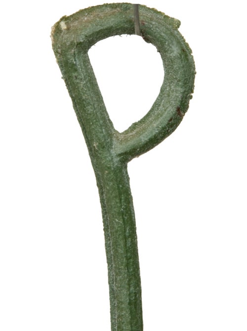 Fleur artificielle guirlande saule 150cm OBIA - Kiabi