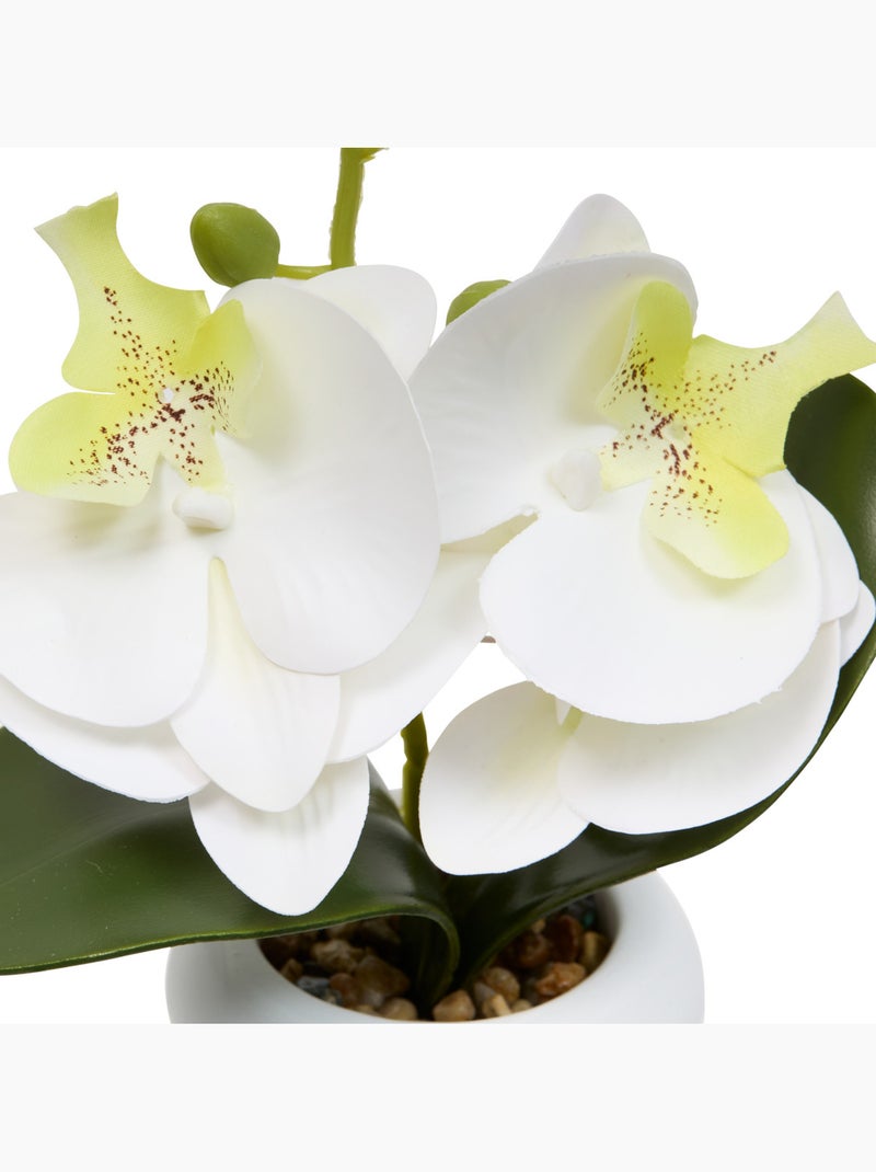 Fleur artificielle MICK Rose - Kiabi