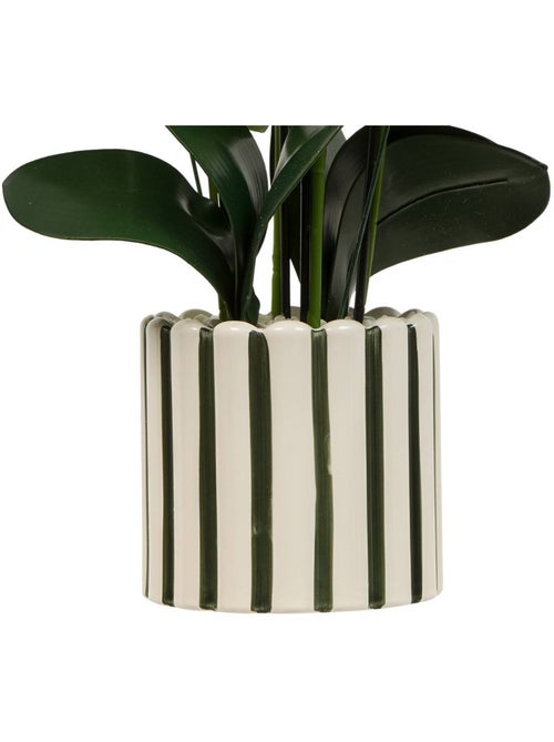 Fleur Artificielle Orchidée H81cm pot en grès ASIA - Kiabi