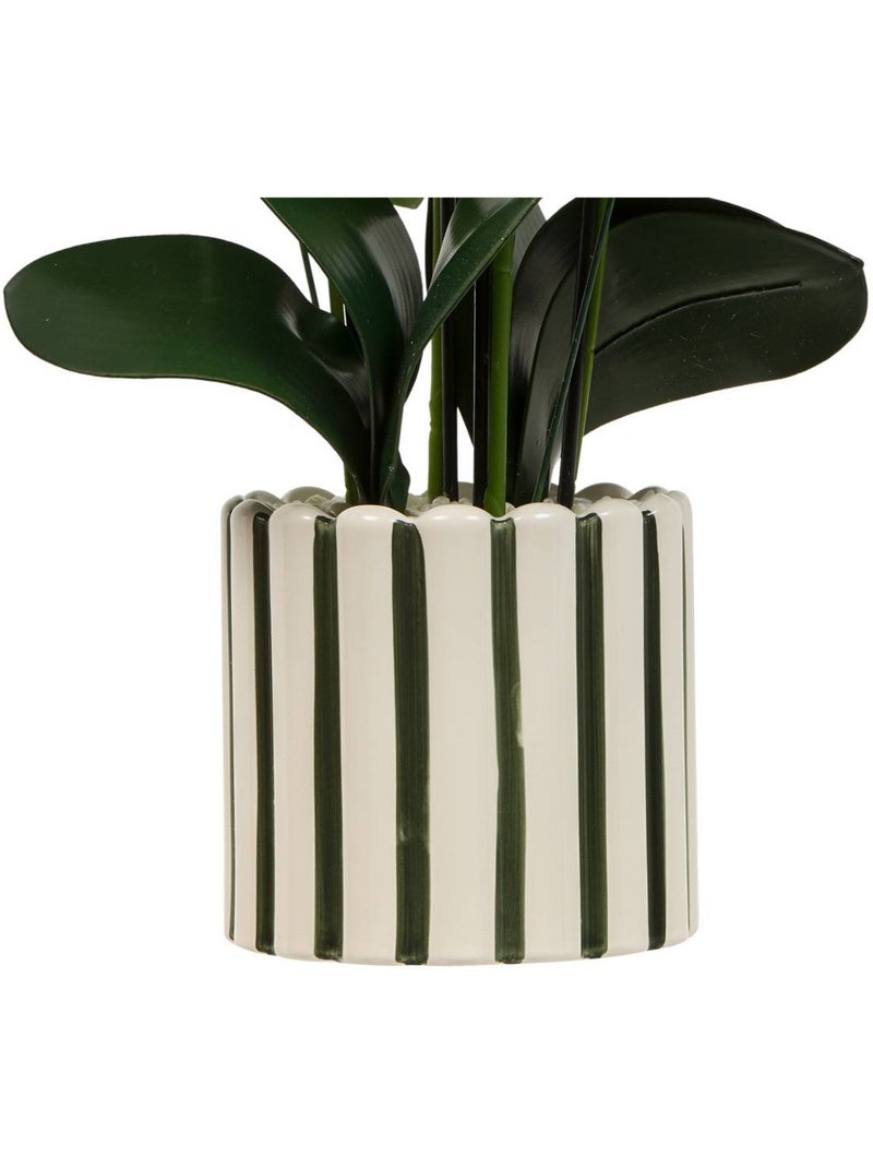 Fleur Artificielle Orchidée H81cm pot en grès ASIA Vert - Kiabi