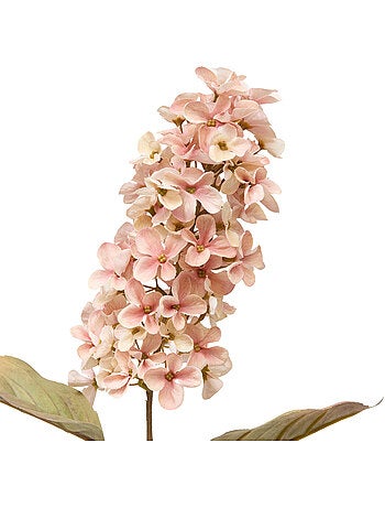 Fleur de jacinthe artificielle fria