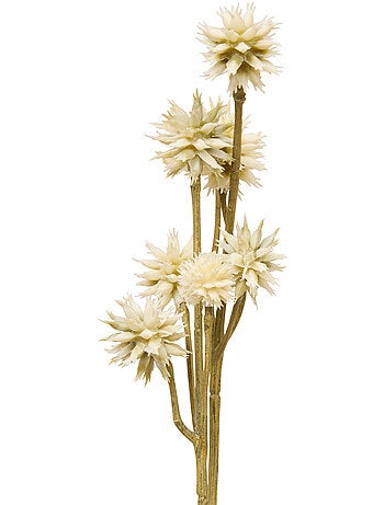 Fleur de sanicula artificielle fria