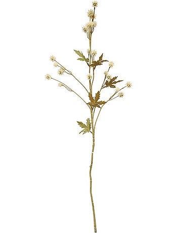Fleur de sanicula artificielle fria