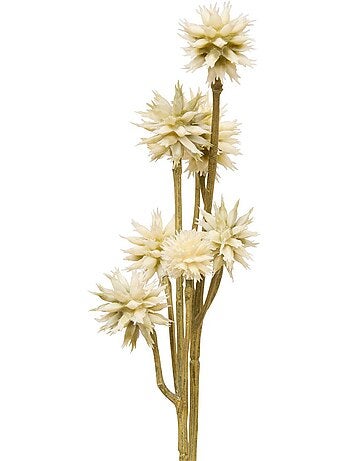 Fleur de sanicula artificielle fria