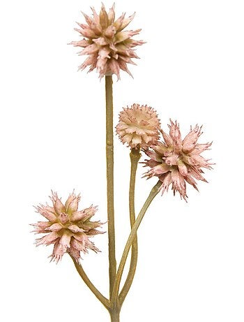 Fleur de sanicula artificielle fria