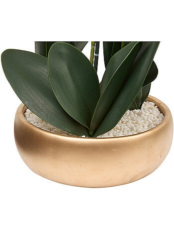 Fleur en pot SANAE