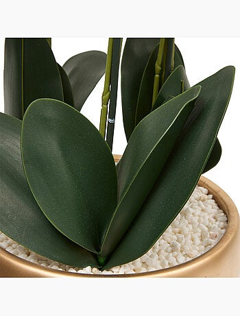 Fleur en pot SANAE