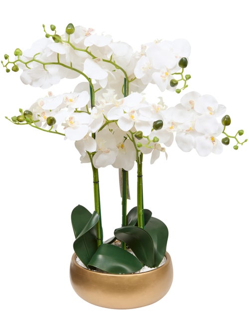 Fleur en pot SANAE - Kiabi