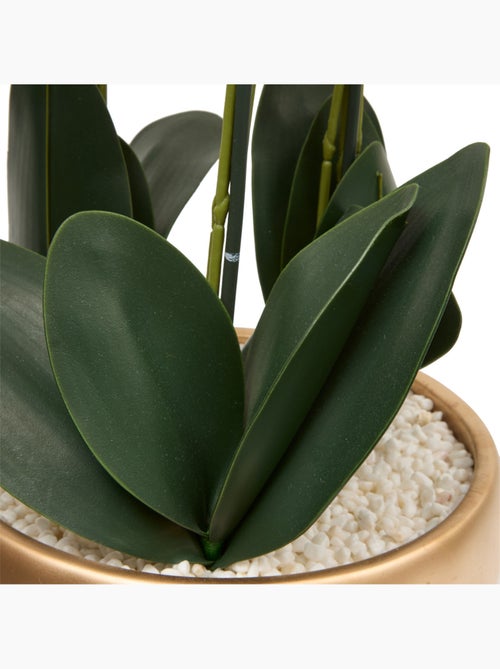 Fleur en pot SANAE - Kiabi