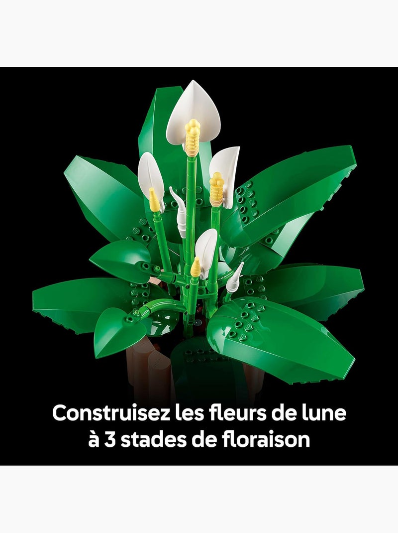 Fleurs De Lune 11504 - Lego® Botanicals - Lego® Bleu - Kiabi