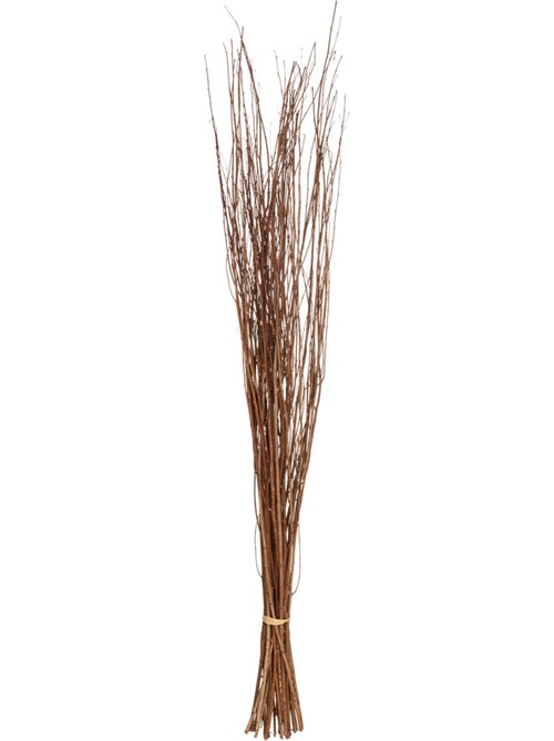 Fleurs séchées naturelles KANI - Kiabi