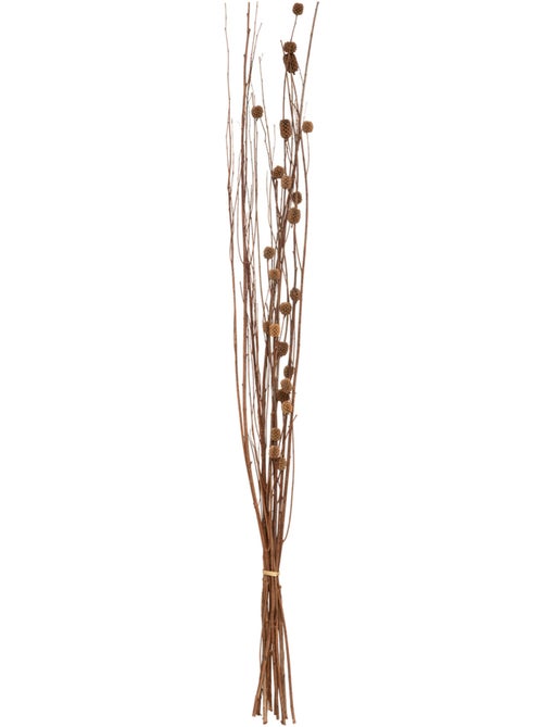 Fleurs séchées naturelles KANI - Kiabi