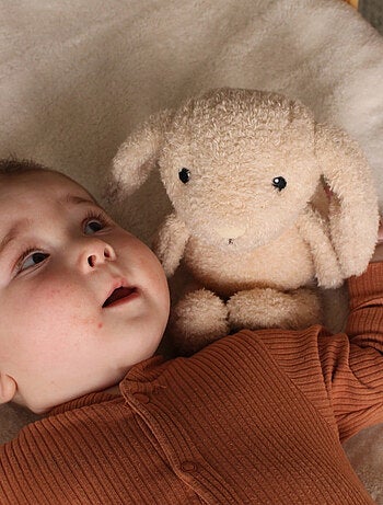 FLOW - Peluche lumineuse