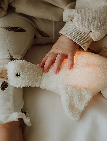 FLOW - Peluche lumineuse