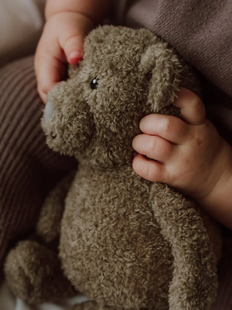 FLOW - Peluche lumineuse Marron - Kiabi