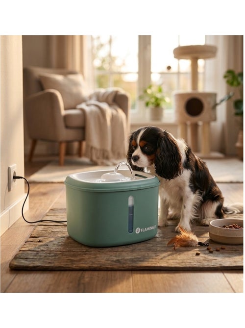 Fontaine a eau finto 2,5l pour chat et petit chien - Kiabi Fontaine a eau finto 2,5l pour chat et petit chien - Kiabi