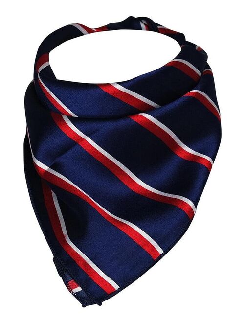 Foulard polysatin FRANCE - Kiabi