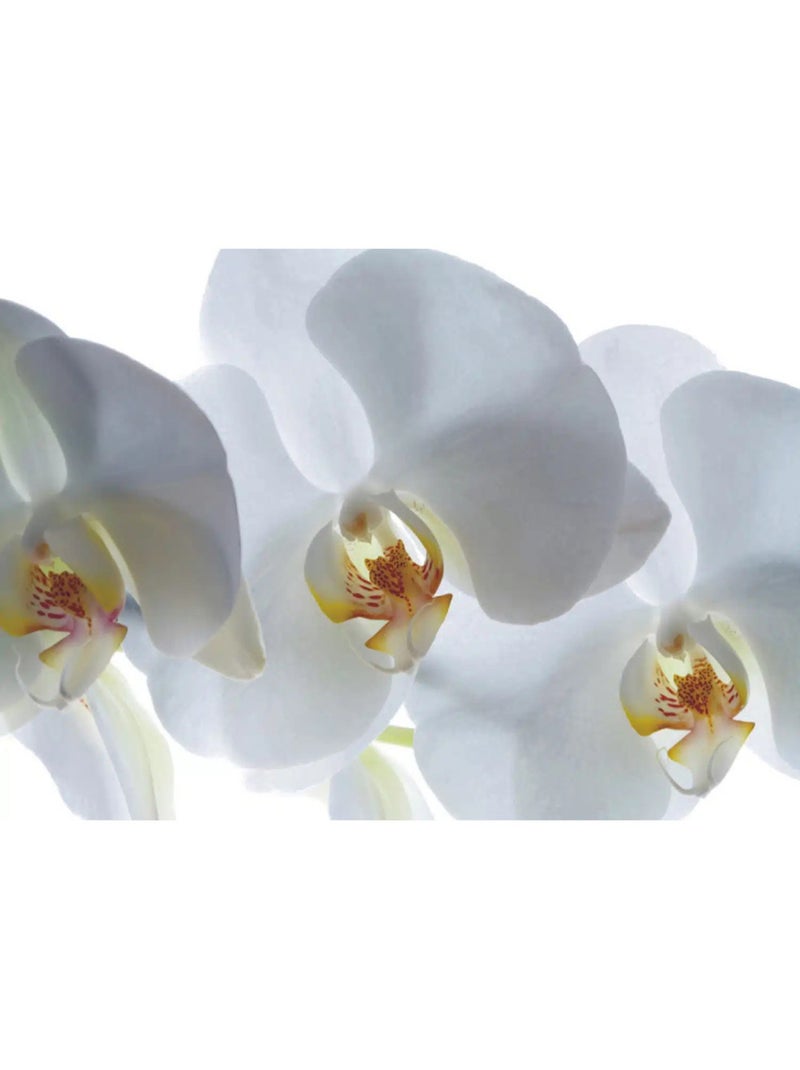 Fresque murale orchidée blanche – 180 x 127 cm Multicolore - Kiabi