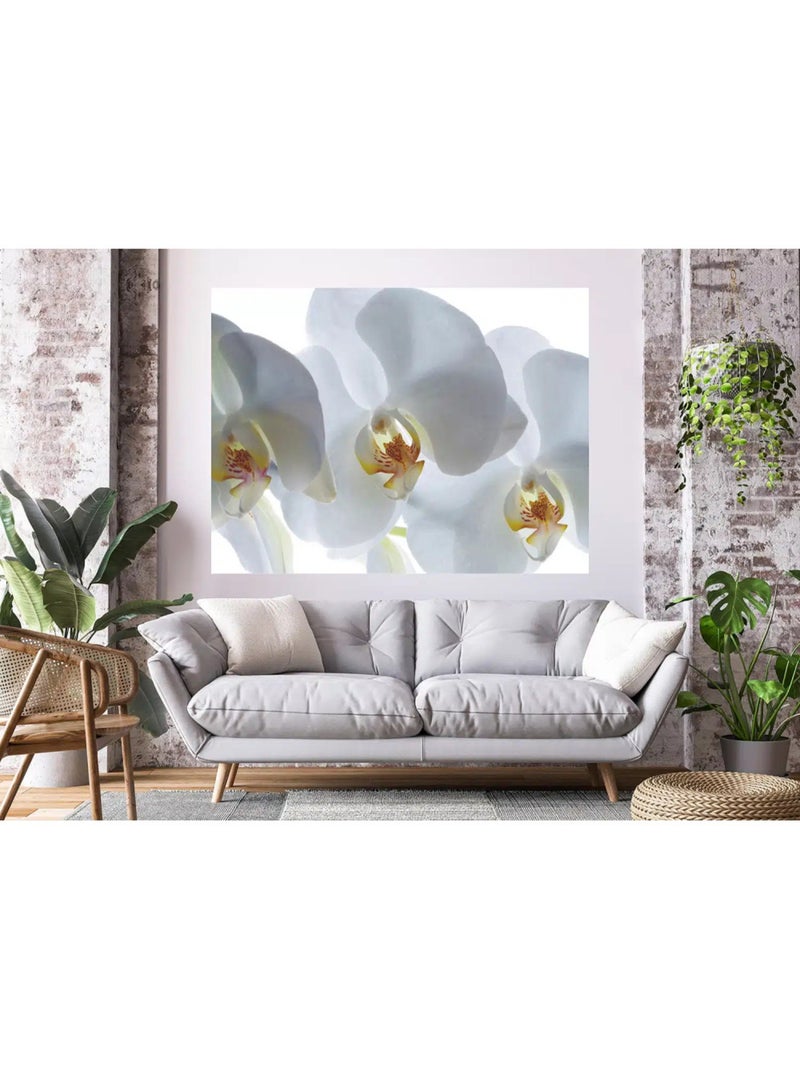 Fresque murale orchidée blanche – 180 x 127 cm Multicolore - Kiabi