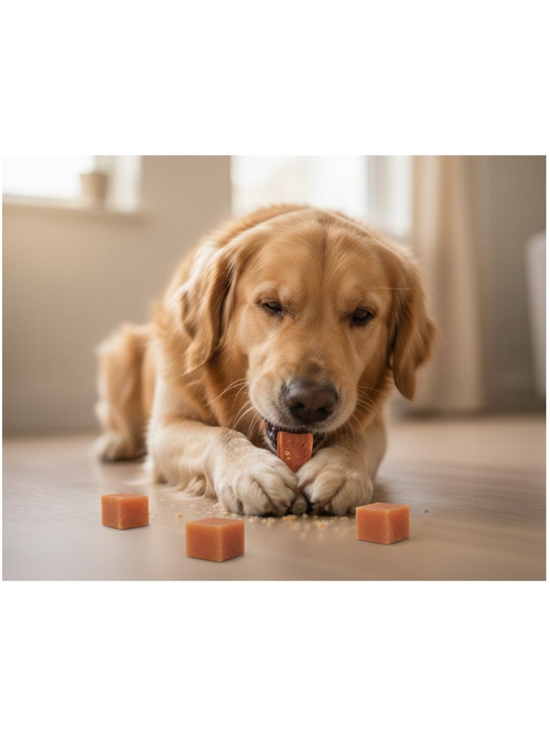 Friandise chien Cube avec poulet Marron - Kiabi