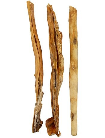 Friandise chien nature peau de cheval 40 cm