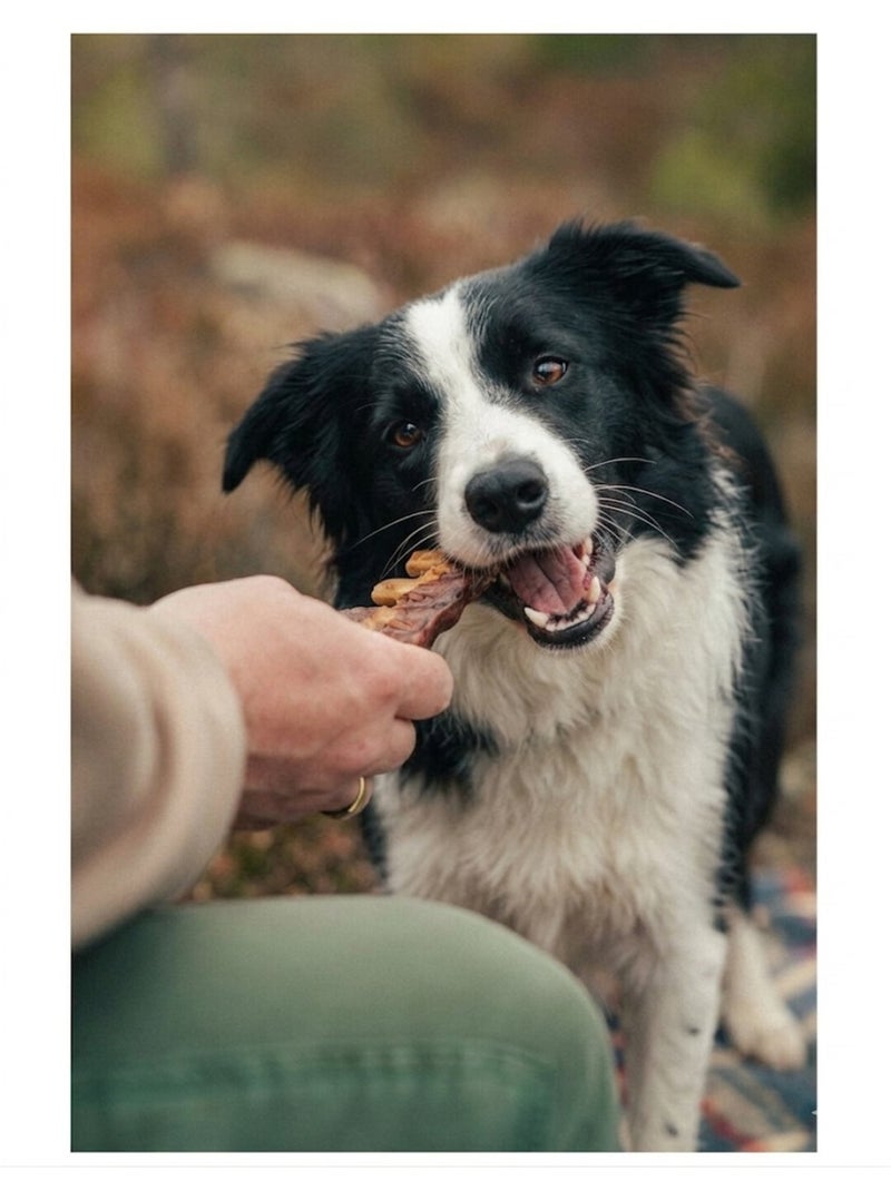 Friandise en lot pour chien BBQ Côte avec Poulet 1.6 kg Marron - Kiabi