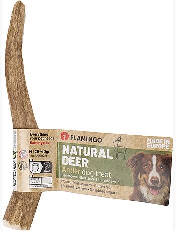 Friandises chien nature bois de cerf easy