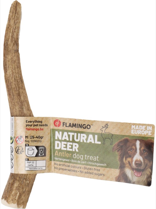 Friandises chien Nature Bois de cerf Easy - Kiabi