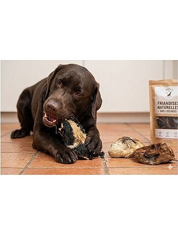 Friandises chien nature nez de mouton avec poils