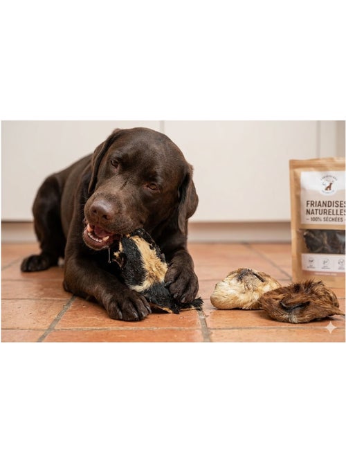 Friandises chien Nature Nez de mouton avec poils - Kiabi
