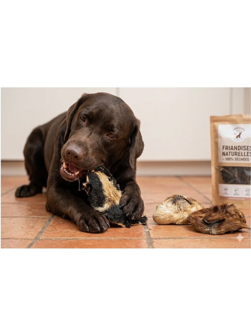 Friandises chien Nature Nez de mouton avec poils Marron - Kiabi