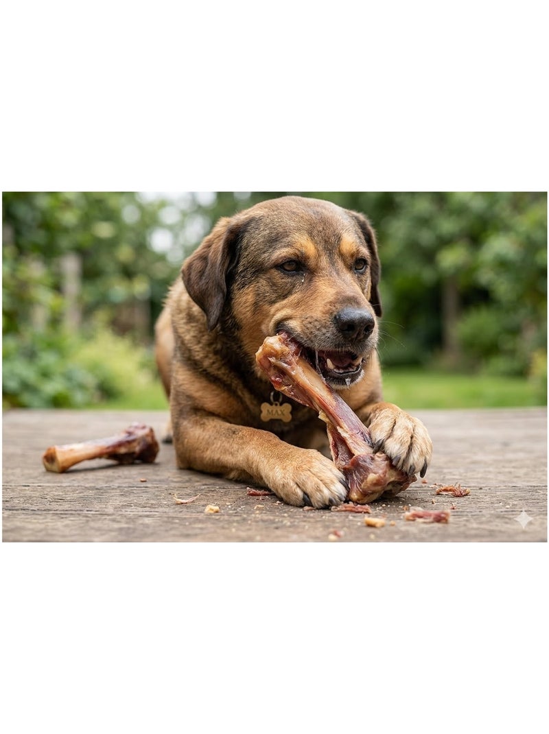 Friandises chien Nature Os de tibia de porc avec de la viande Marron - Kiabi
