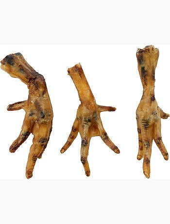 Friandises chien nature patte de poulet