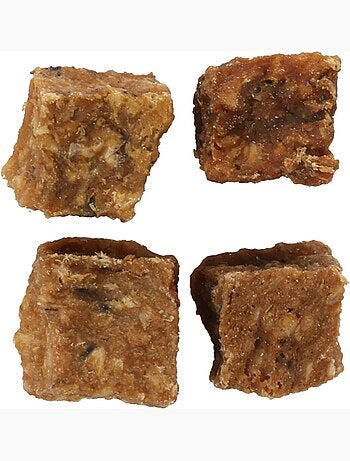 Friandises chien nature petits blocs avec saumon