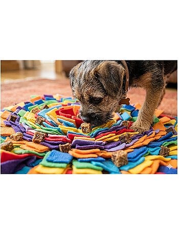 Friandises chien nature petits blocs avec saumon