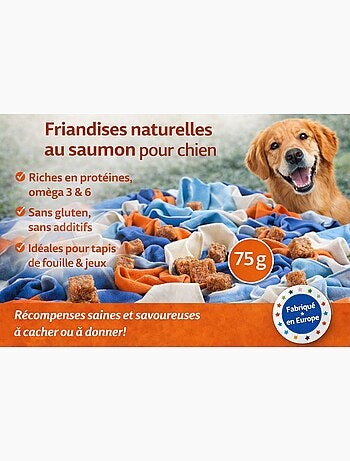 Friandises chien nature petits blocs avec saumon