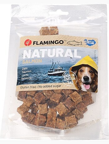 Friandises chien nature petits blocs avec saumon