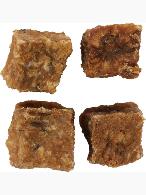 Friandises chien Nature Petits blocs avec Saumon - Kiabi