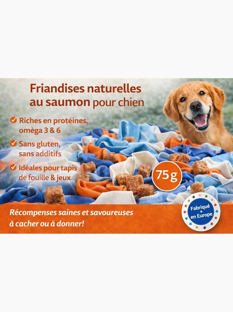 Friandises chien Nature Petits blocs avec Saumon Marron - Kiabi