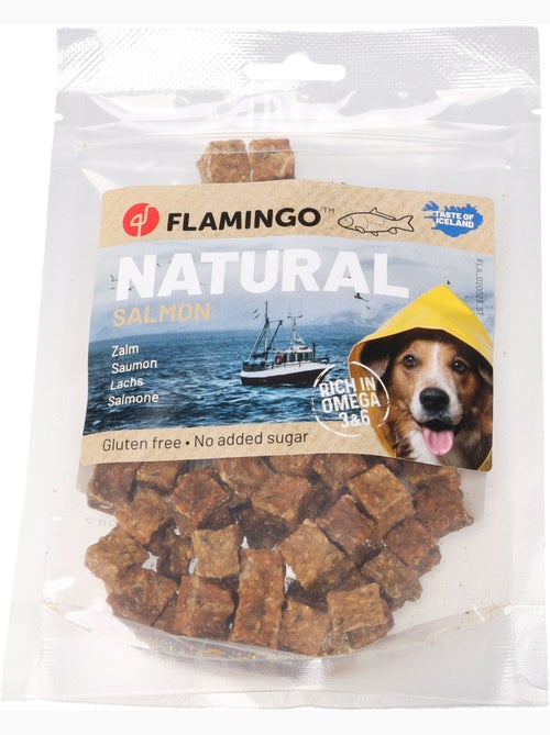 Friandises chien Nature Petits blocs avec Saumon - Kiabi