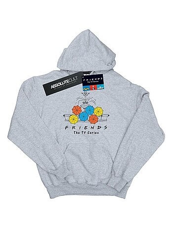 Friends - Sweat à capuche