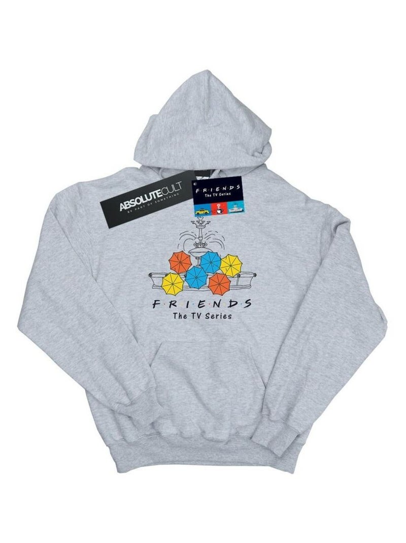 Friends - Sweat à capuche Gris chiné - Kiabi