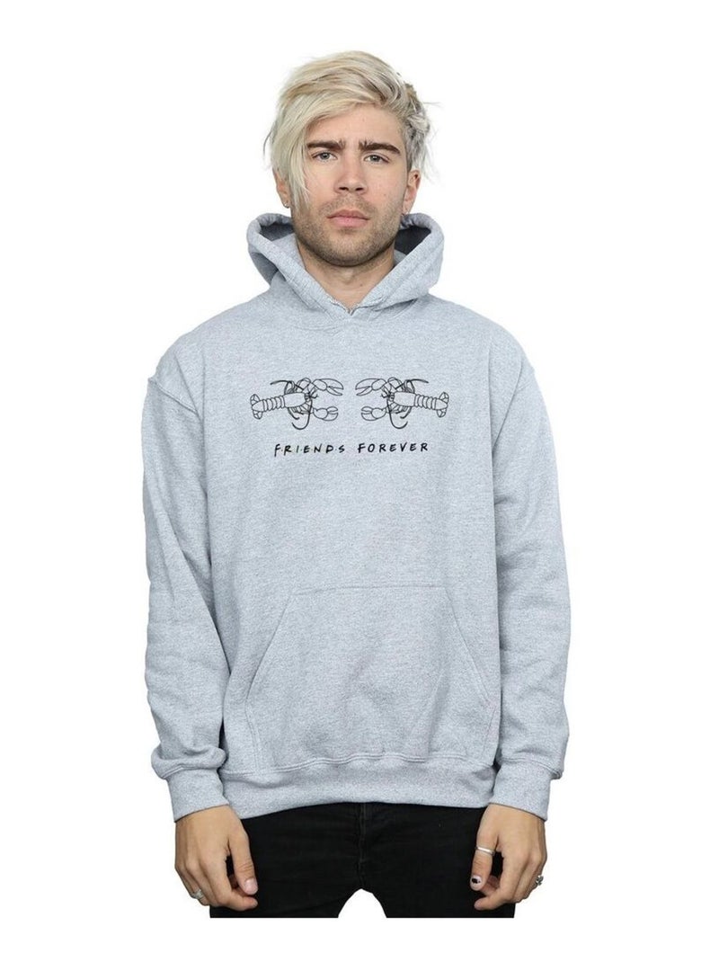 Friends - Sweat à capuche Gris chiné - Kiabi