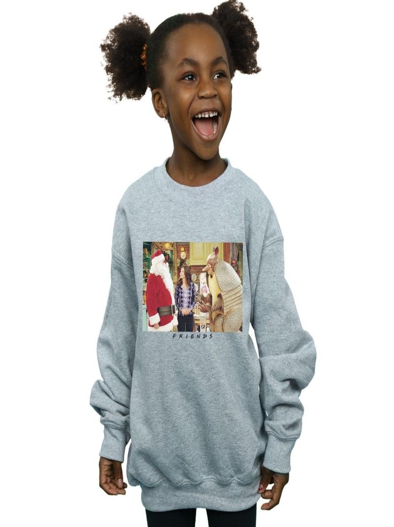 Friends - Sweat CHRISTMAS ARMADILLO Gris chiné - Kiabi