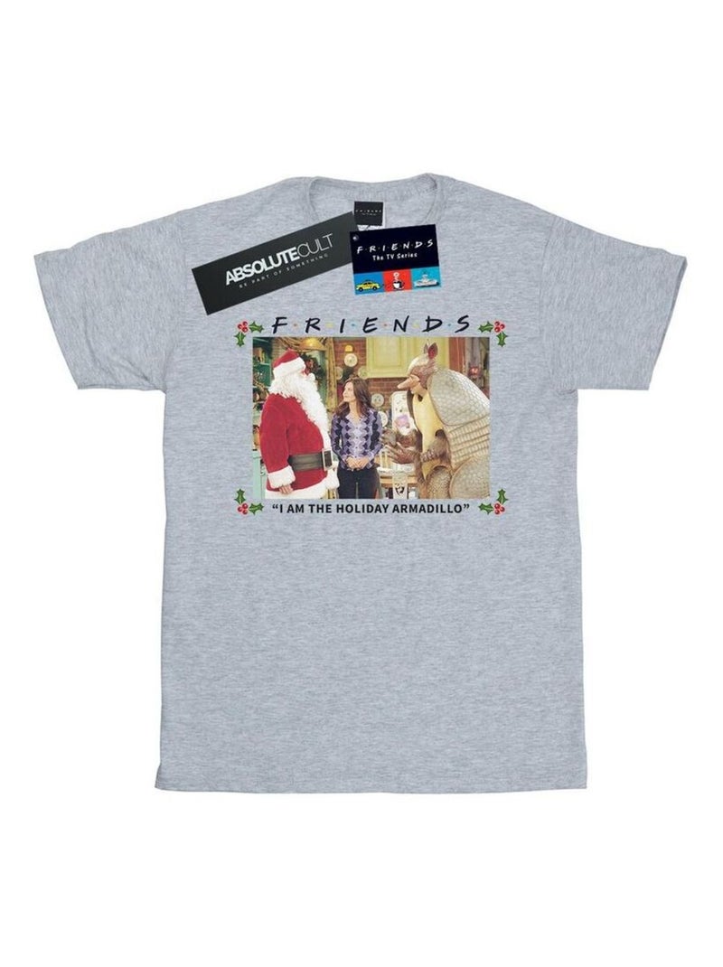 Friends - T-shirt AM THE HOLIDAY ARMADILLO Gris chiné - Kiabi