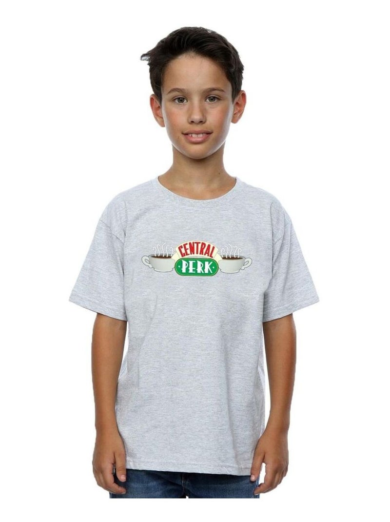 Friends - T-shirt CENTRAL PERK Gris chiné - Kiabi