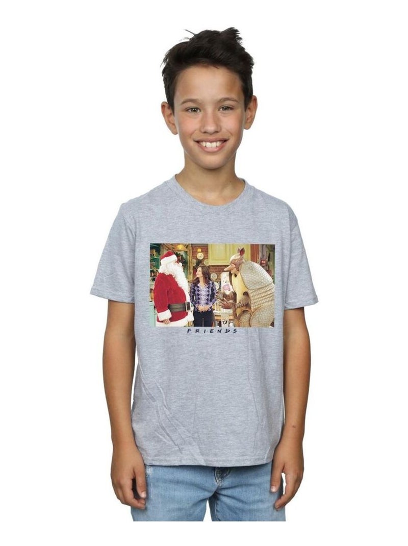 Friends - T-shirt CHRISTMAS ARMADILLO Gris chiné - Kiabi